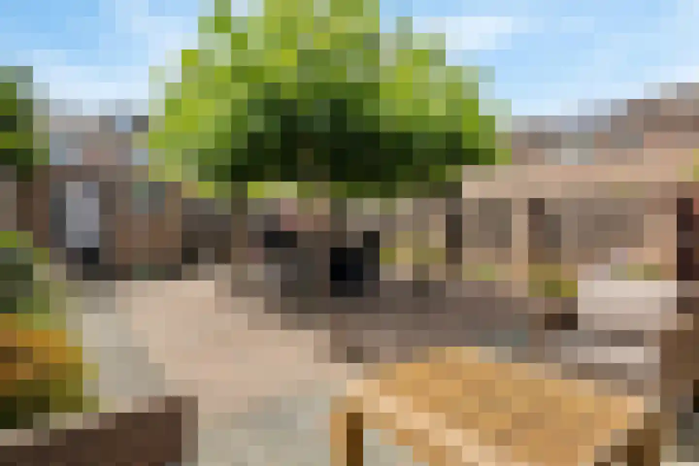 Zwartmoeren 19 Breda thumbnail 31