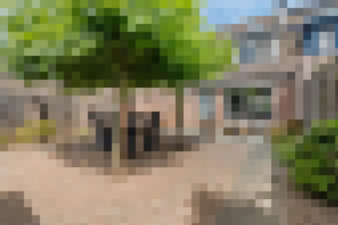Zwartmoeren 19 Breda thumbnail 33