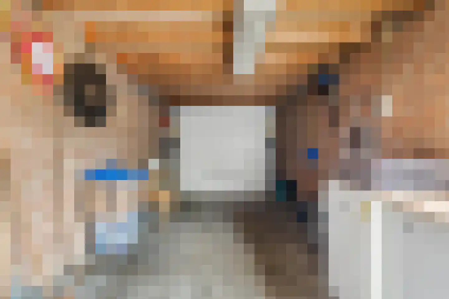 Zwartmoeren 19 Breda thumbnail 34