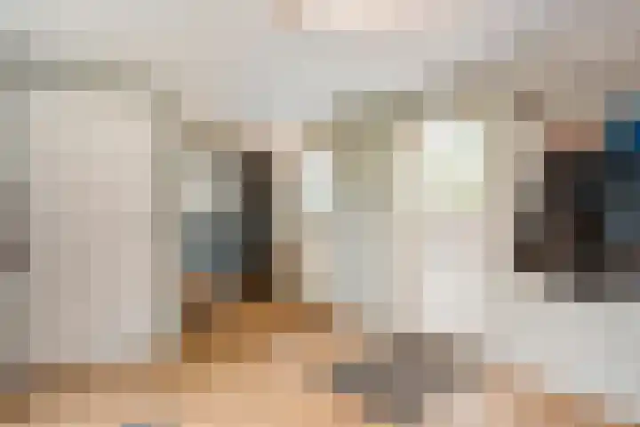 Zwartschaap 31 Stuifzand thumbnail 10