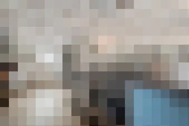 Zwartschaap 31 Stuifzand thumbnail 13