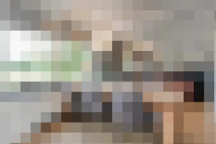 Zwartschaap 31 Stuifzand thumbnail 15