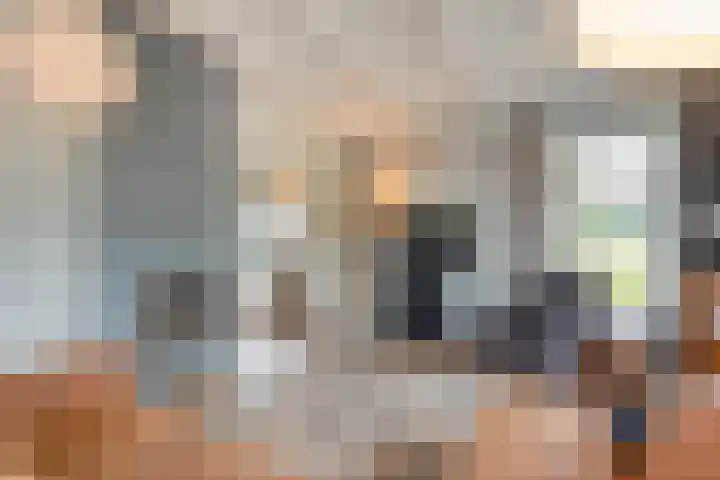 Zwartschaap 31 Stuifzand thumbnail 18