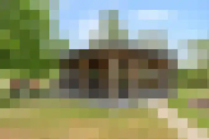 Zwartschaap 31 Stuifzand thumbnail 35