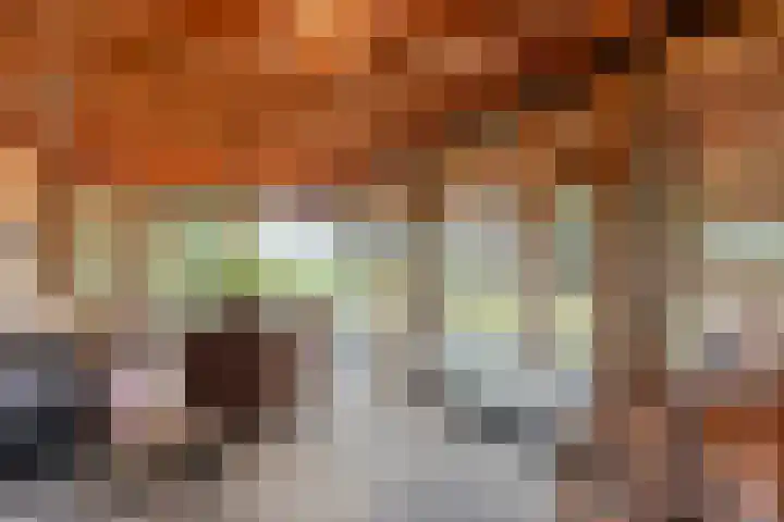 Zwartschaap 31 Stuifzand thumbnail 36