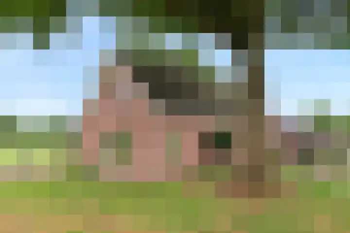Zwartschaap 31 Stuifzand thumbnail 4