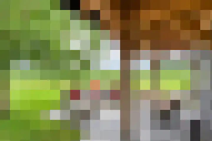 Zwartschaap 31 Stuifzand thumbnail 40