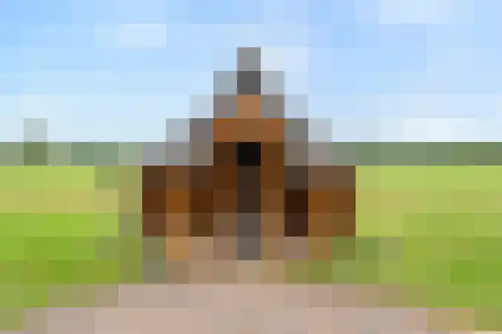 Zwartschaap 31 Stuifzand thumbnail 42