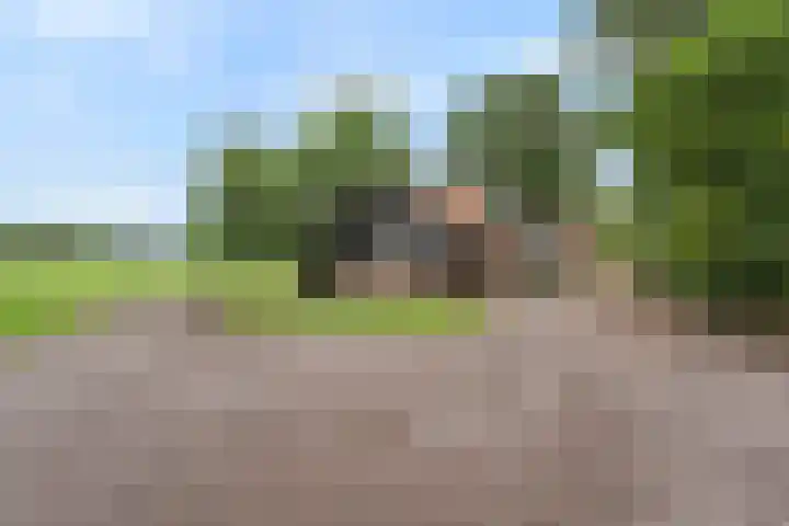 Zwartschaap 31 Stuifzand thumbnail 43