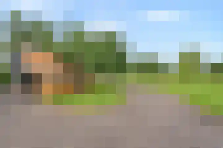 Zwartschaap 31 Stuifzand thumbnail 44