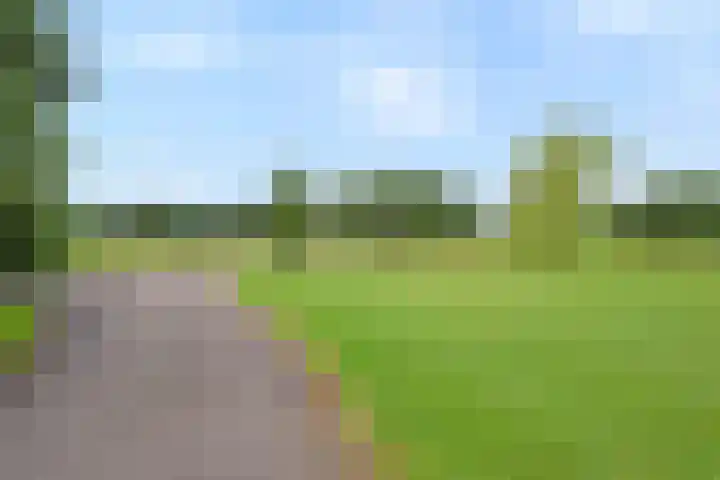 Zwartschaap 31 Stuifzand thumbnail 45