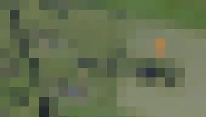 Zwartschaap 31 Stuifzand thumbnail 47