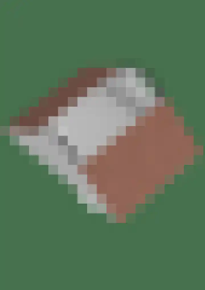 Zwartschaap 31 Stuifzand thumbnail 58