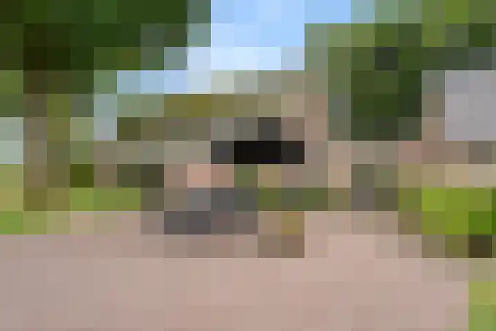 Zwartschaap 31 Stuifzand thumbnail 6
