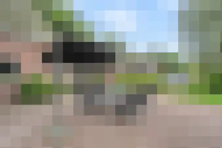 Zwartschaap 31 Stuifzand thumbnail 8