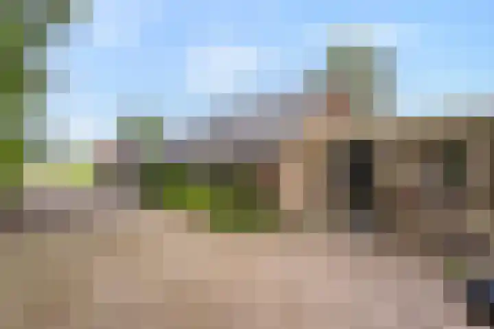Zwartschaap 31 Stuifzand thumbnail 9