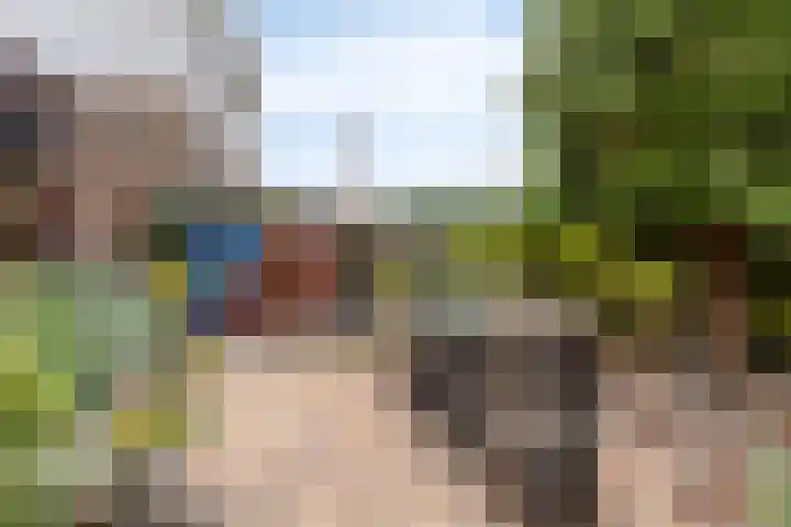 Zwartsluisje 117 Zuid-Beijerland thumbnail 20