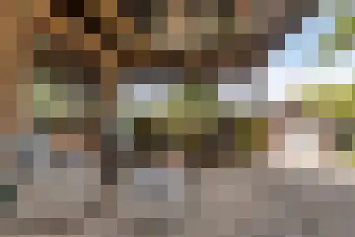Zwartsluisje 117 Zuid-Beijerland thumbnail 22