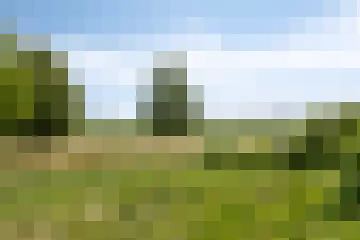 Zwartsluisje 117 Zuid-Beijerland thumbnail 25