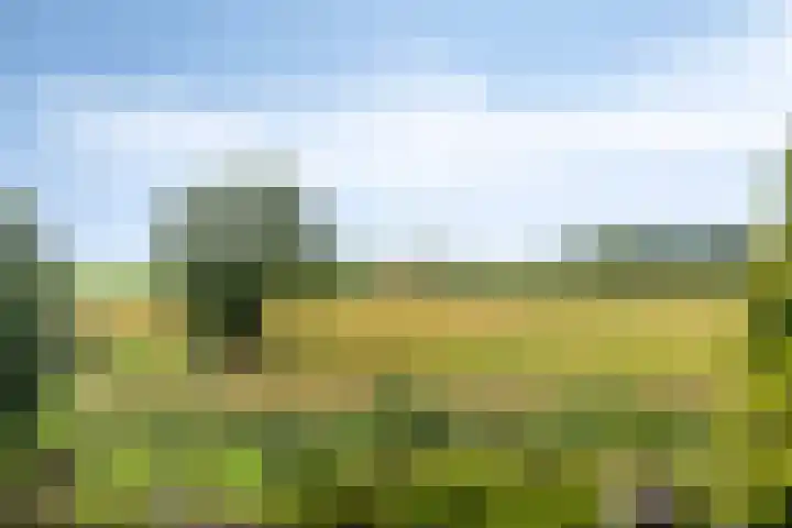 Zwartsluisje 117 Zuid-Beijerland thumbnail 26