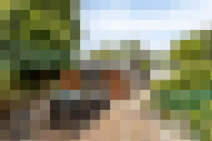 Zwartsluisje 117 Zuid-Beijerland thumbnail 28