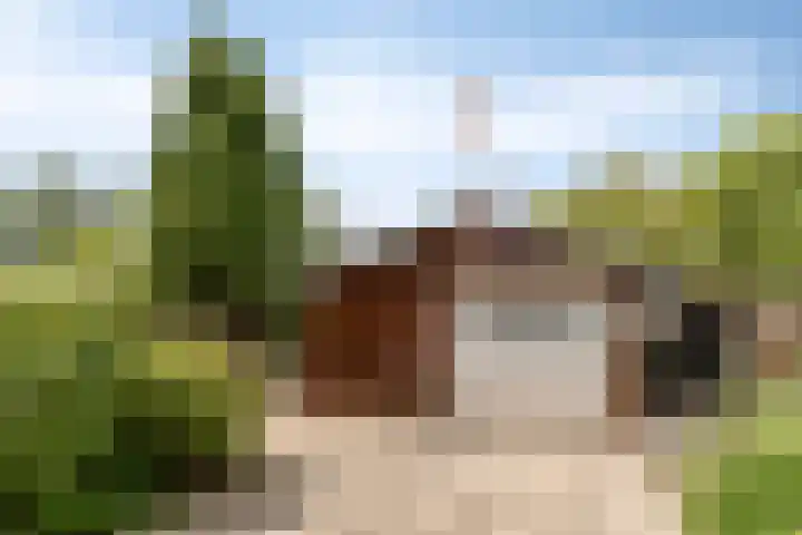 Zwartsluisje 117 Zuid-Beijerland thumbnail 29