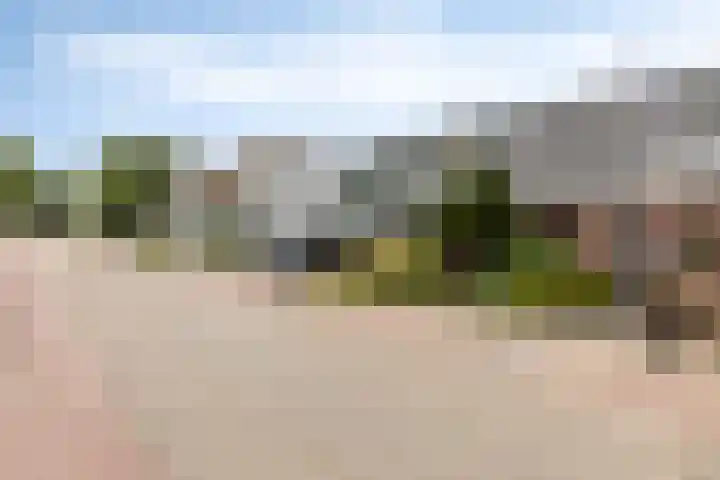 Zwartsluisje 117 Zuid-Beijerland thumbnail 4
