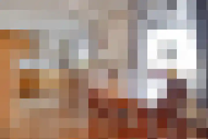 Zwartsluisje 12 Piershil thumbnail 10