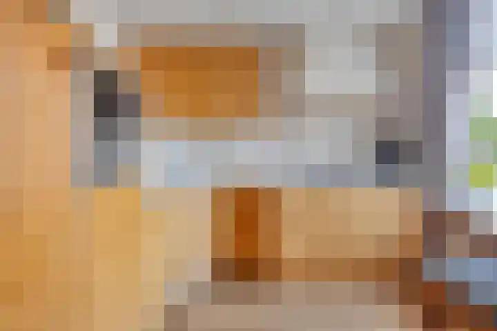 Zwartsluisje 12 Piershil thumbnail 11