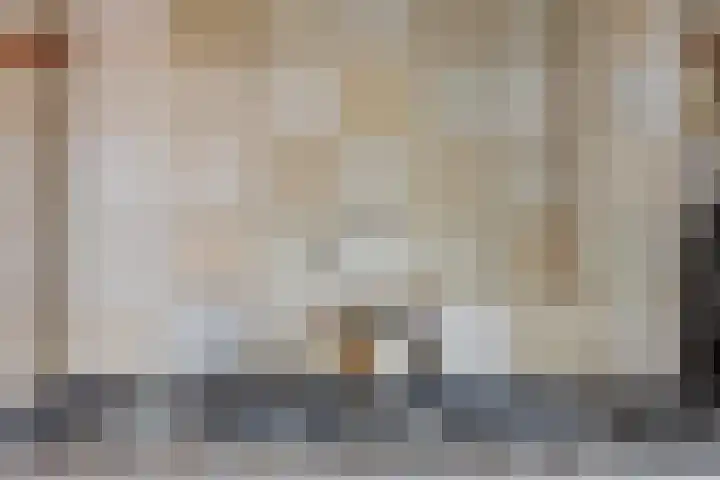 Zwartsluisje 12 Piershil thumbnail 12