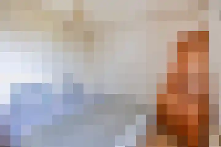 Zwartsluisje 12 Piershil thumbnail 14