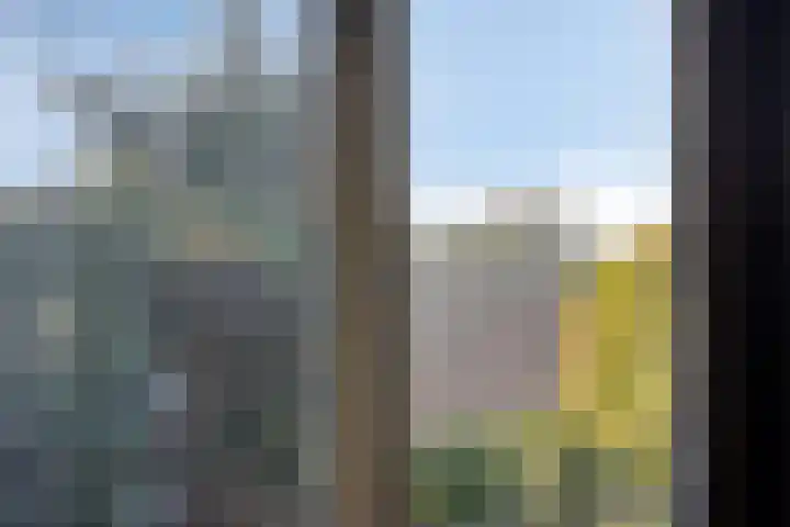 Zwartsluisje 12 Piershil thumbnail 15