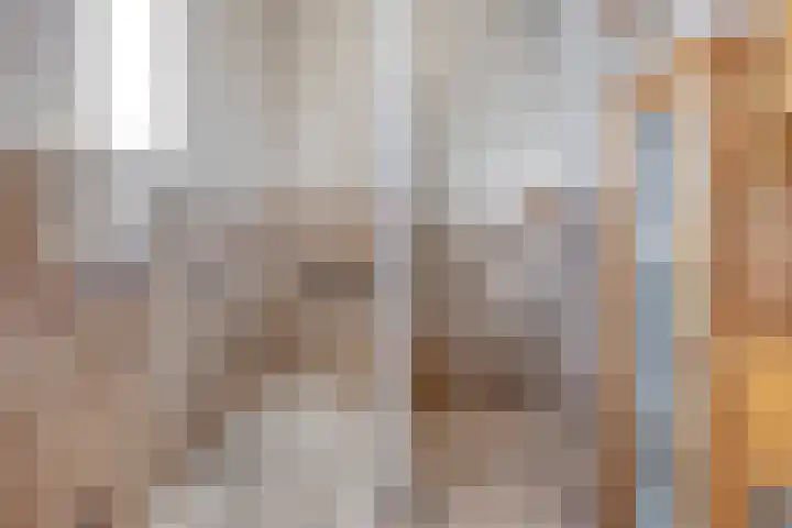 Zwartsluisje 12 Piershil thumbnail 19