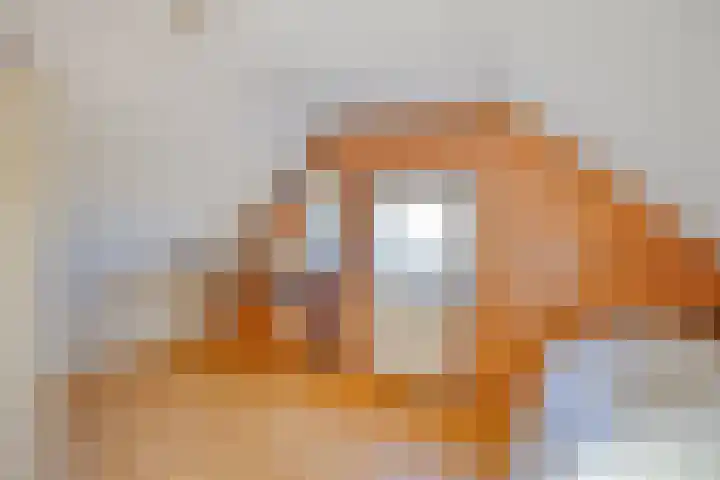 Zwartsluisje 12 Piershil thumbnail 24