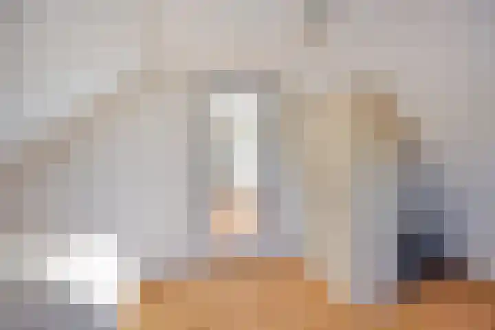 Zwartsluisje 12 Piershil thumbnail 25