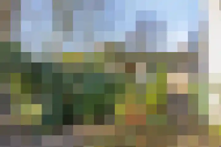 Zwartsluisje 12 Piershil thumbnail 28