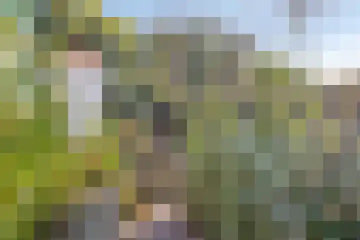Zwartsluisje 12 Piershil thumbnail 29