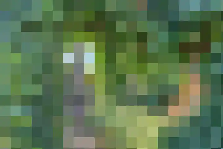 Zwartsluisje 12 Piershil thumbnail 30