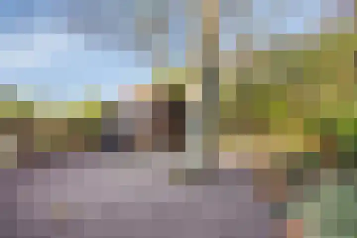 Zwartsluisje 12 Piershil thumbnail 31
