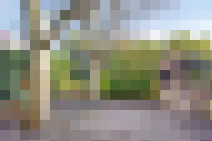 Zwartsluisje 12 Piershil thumbnail 32