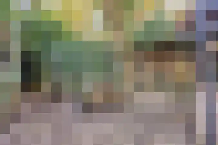 Zwartsluisje 12 Piershil thumbnail 33