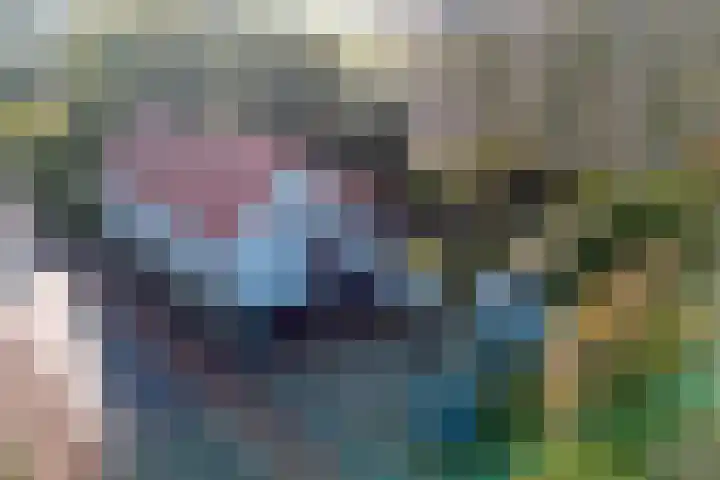 Zwartsluisje 12 Piershil thumbnail 38