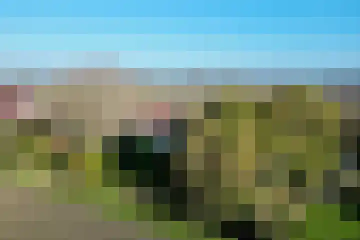 Zwartsluisje 12 Piershil thumbnail 39