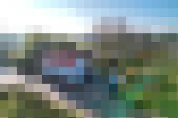 Zwartsluisje 12 Piershil thumbnail 4