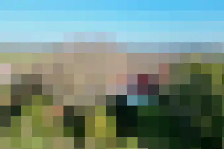 Zwartsluisje 12 Piershil thumbnail 40