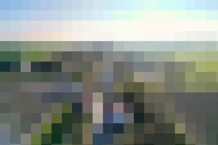 Zwartsluisje 12 Piershil thumbnail 41