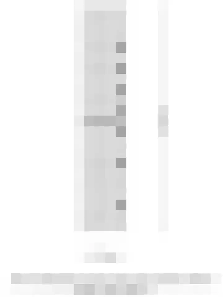 Zwartsluisje 12 Piershil thumbnail 50