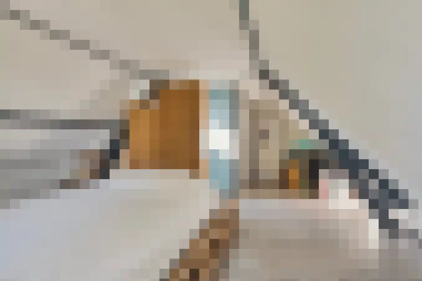 Zwartsluisje 67 Zuid-Beijerland thumbnail 35