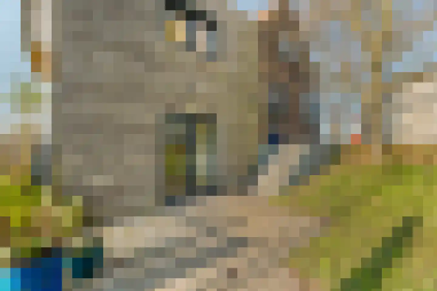 Zwartsluisje 67 Zuid-Beijerland thumbnail 8