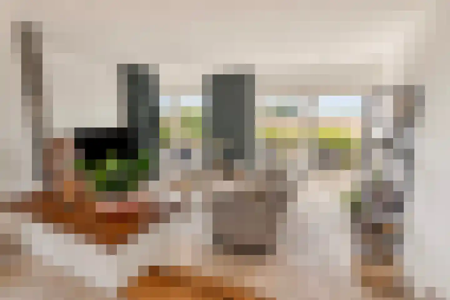 Zwartsluisje 8 Piershil thumbnail 13